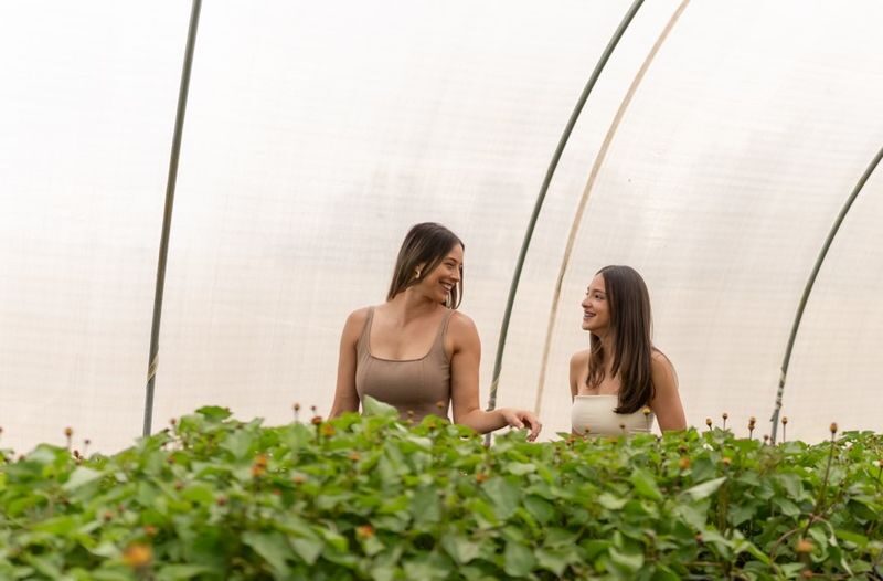 Jurlique Farm Tour at Adelaide Hills - What the 10 a.m. visit looks like