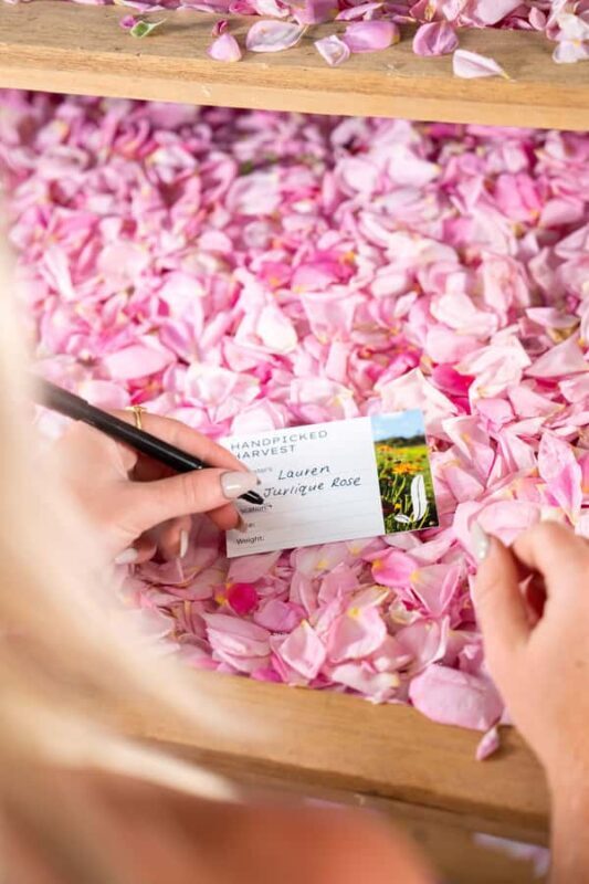 Jurlique Handpicked Masterclass - Jurlique Handpicked Masterclass: An Authentic Taste of Organic Farming and Aromatherapy in South Australia