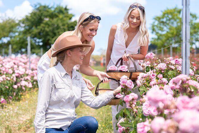 Jurlique Handpicked Masterclass - Good To Know