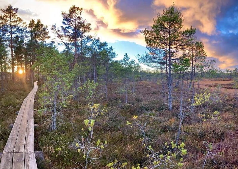 Jurmala,Kuldiga,Ragaciems Beach, Kemeri N park, Food & Drink - An In-Depth Look at the Latvia Day Tour