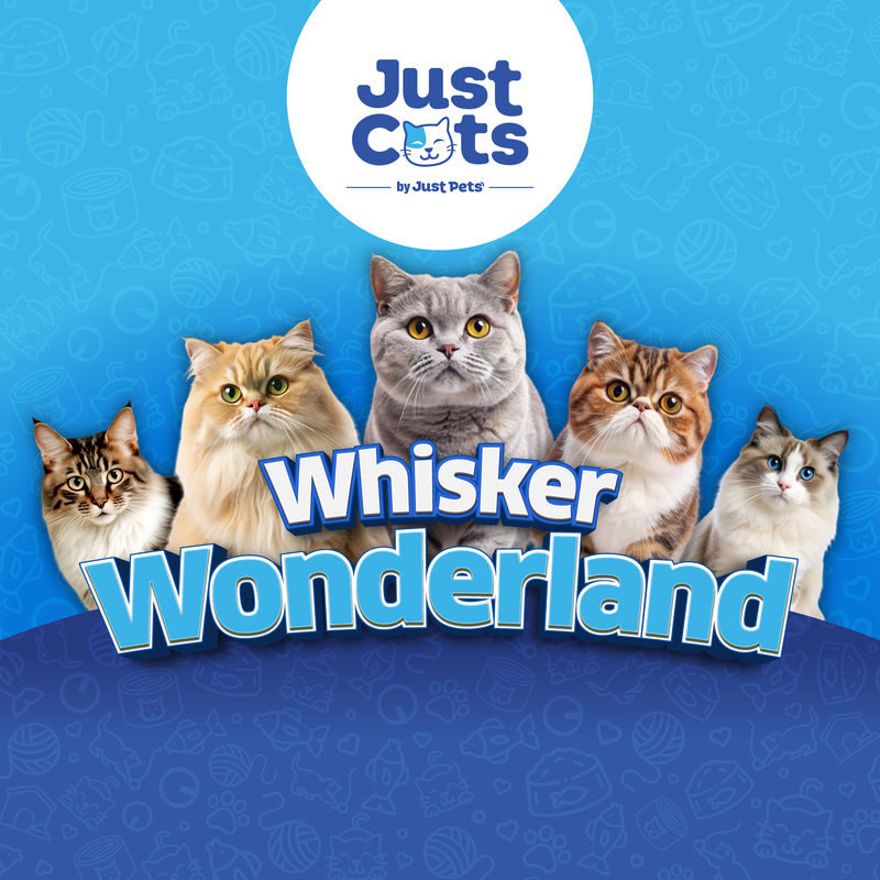 Just Cats Entrance Ticket - A quiet cat break inside Tropicana Gardens Mall