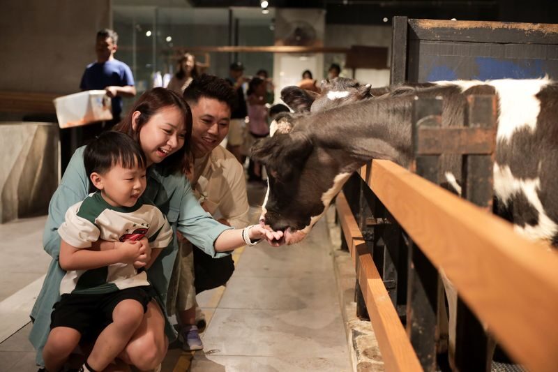 Just Farm by Just Pets Megastore Ticket - Who will enjoy Just Farm most?