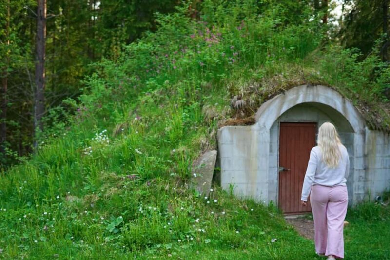 Jyväskylä: Cottage Day with Locals and Sauna & Campfire Food - What We Think: Value & Suitability