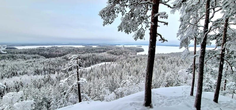 Jyvaskyla: Ice Fishing Experience with a Finnish Guide - What To Expect During Your Ice Fishing Tour