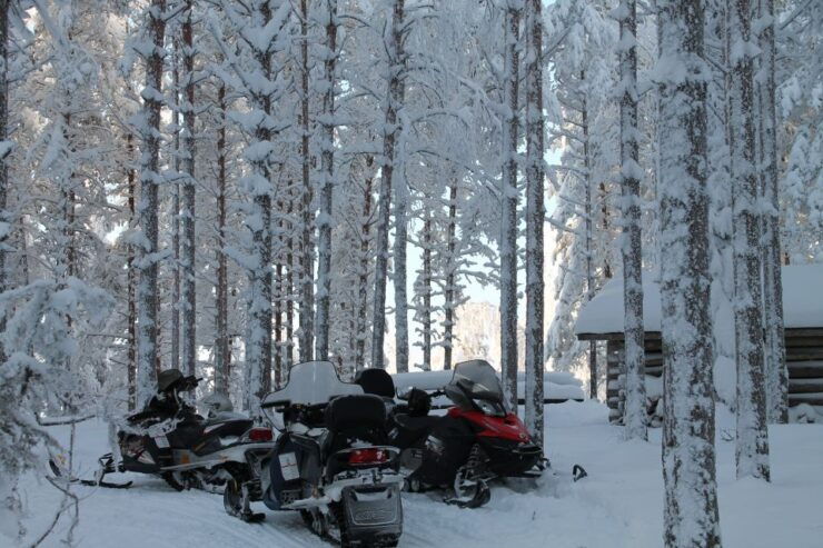 Jyväskylä/Laukaa: 2-Hour Snowmobile Safari - Experience and Activities Overview
