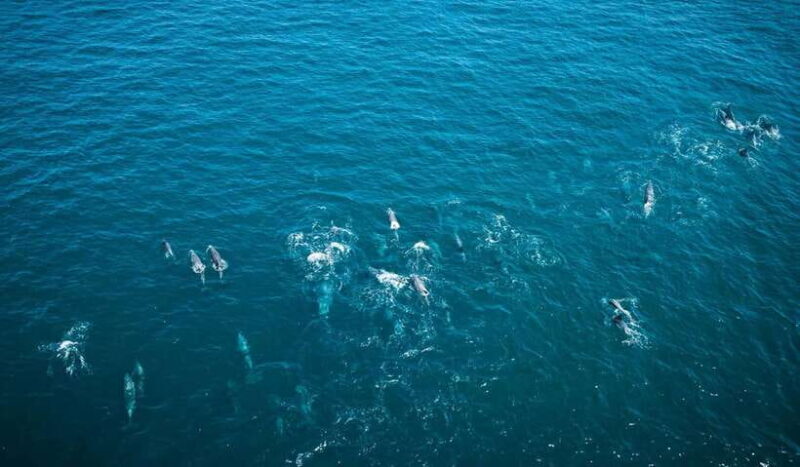 K-Drama Spot: Jeju Western Tour with Hotel Pickup - An In-Depth Look at the Jeju Western K-Drama Tour