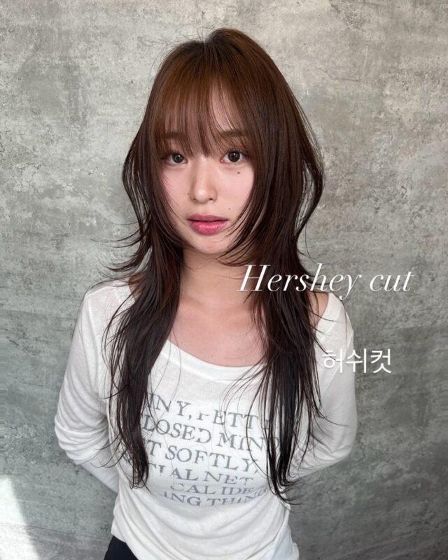 K-Pop & K-Drama Hair Styling Experience at Argyol Hongdae - Is the price worth it?