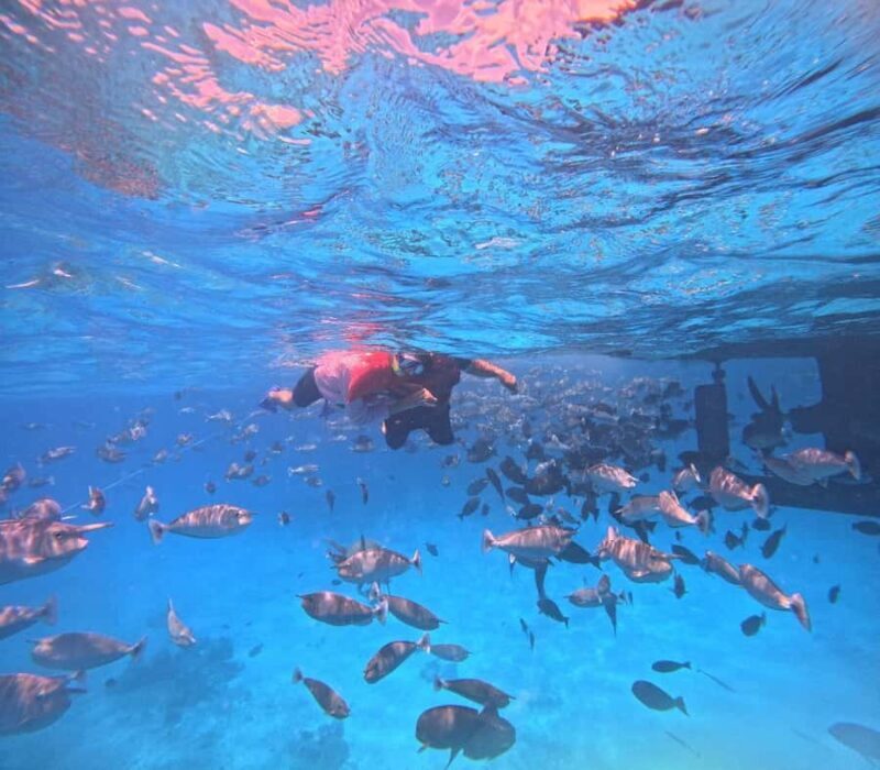 kaafu tour with lunch - Good To Know