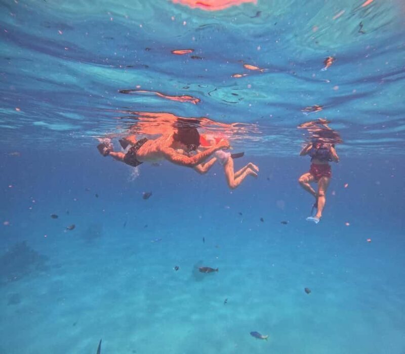 kaafu tour with lunch - FAQ