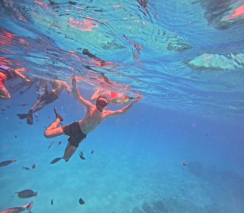 kaafu tour with lunch - Discovering the Magic of Kaafu Atoll: A Closer Look