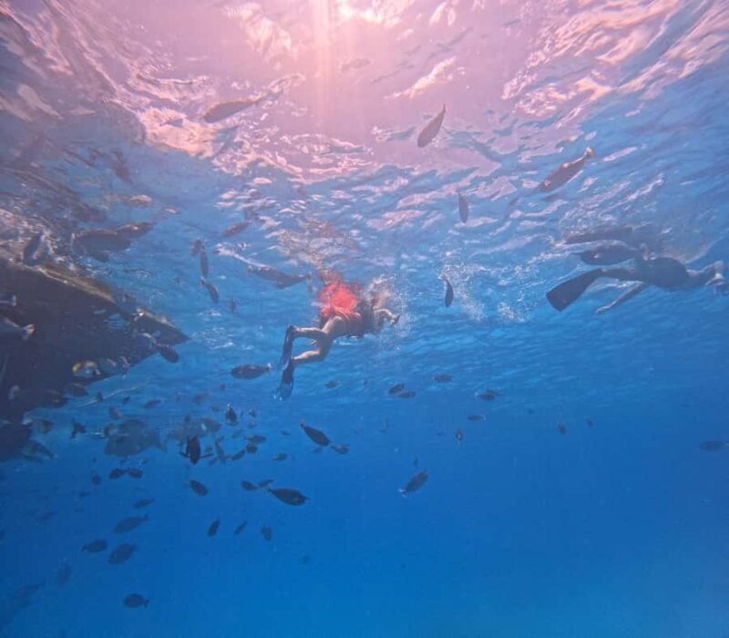 kaafu tour with lunch - Final Thoughts