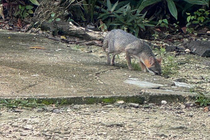 Kaan Luum Lagoon and Cenote Adventure - A Closer Look at the Itinerary