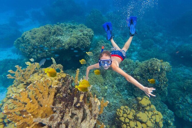 Kaan Luum Lagoon and Cenote Snorkel Tour in Tulum - What to Expect from the Tour