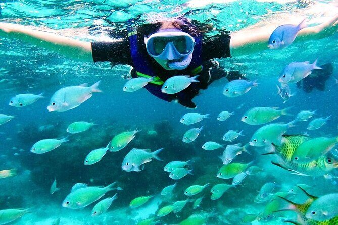 Kaan Luum Lagoon and Cenote Snorkel Tour in Tulum - The Authentic Mexican Touch