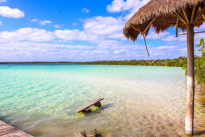 Kaan Luum Lagoon, Cenote Zacil Ha & Cenote Kuxtal Tour From Tulum - Customer Testimonials