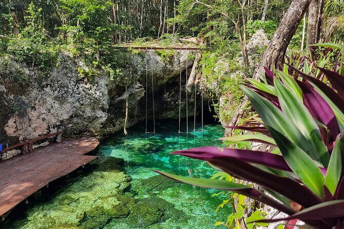 Kaan Luum Lagoon Day Trip with Cenotes and Mayan Traditions - Practical Details and What to Expect