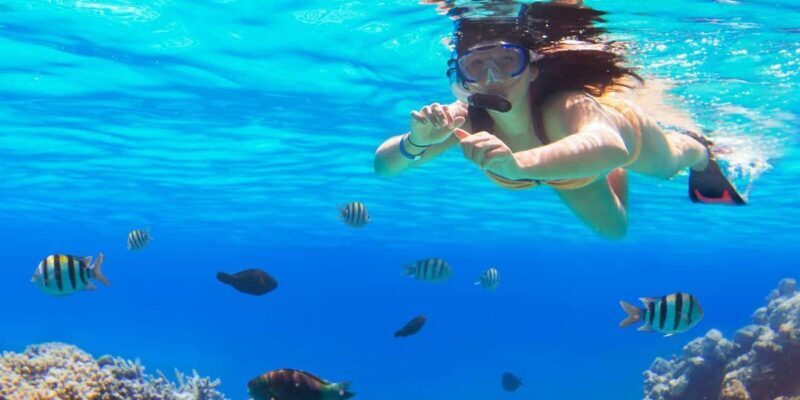 Ka'anapali Beach: Coral Reef Snorkel and Turtle Spotting - Introduction