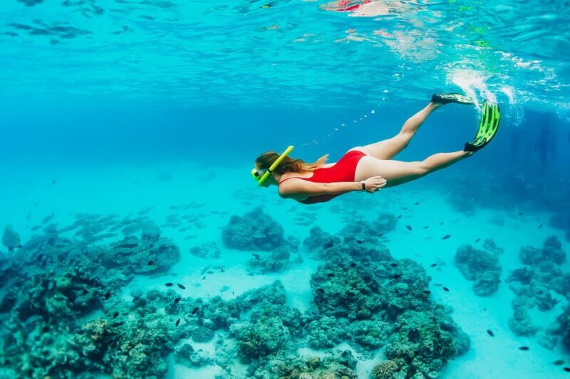 Ka'anapali Beach: Coral Reef Snorkel and Turtle Spotting - FAQs
