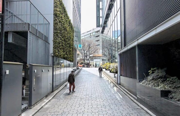 Kabukicho Macabre Tour - the Real Tokyo Vice - Experience Highlights
