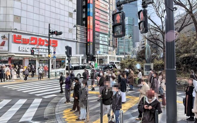 Kabukicho Macabre Tour - the Real Tokyo Vice - Tour Features