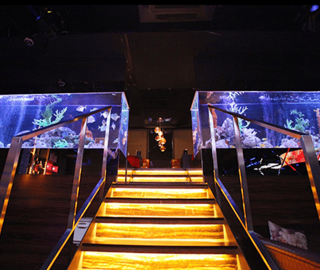 Kabukicho, Shinjuku: Experiencing Japanese Host Club - Location and Overview