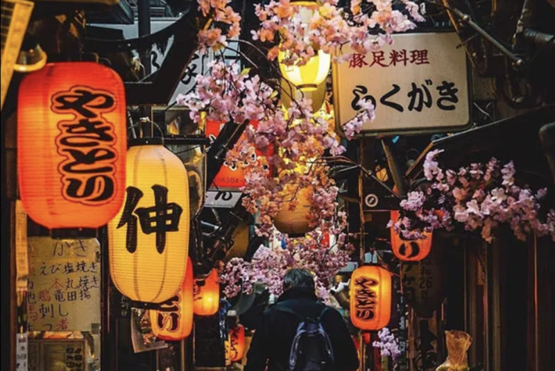Kabukicho & Shinjuku Golden Gai Half-day Guided & City Highlights Tour - What to know before you book