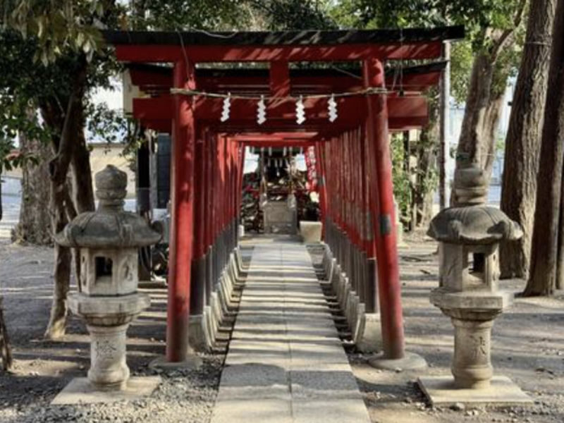 Kabukicho & Shinjuku Golden Gai Half-day Guided & City Highlights Tour - Who will get the most from it
