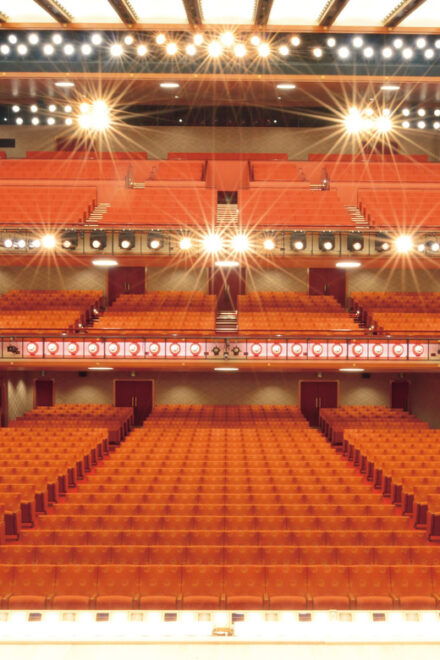 Kabukiza Theatre Show Ticket - Pre-Show Activities