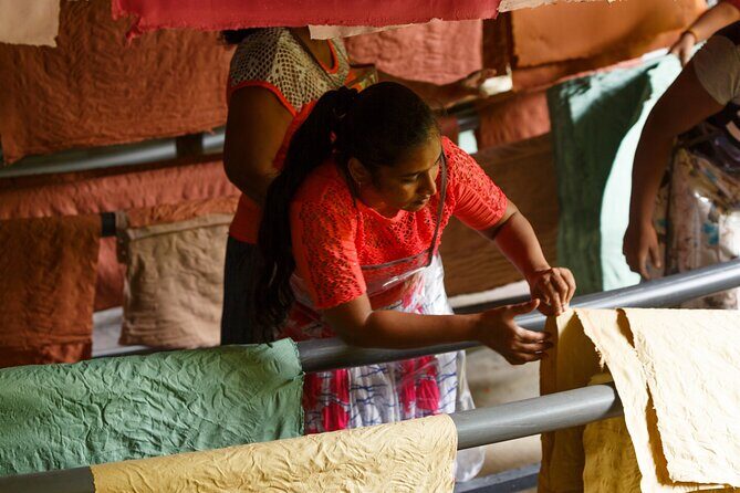 Kadadasi and the Backyard Forest - Practical Details and Value