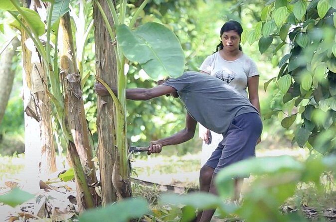 Kadadasi and the Backyard Forest - What to Keep in Mind