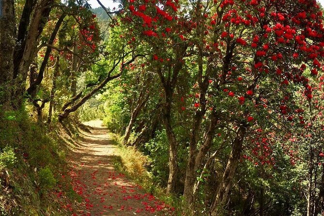 Kaflani Day Hike - Mussoorie - Route Details