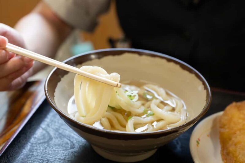 Kagawa: E-Bike Rental to Hidden Udon Recommended by Locals - Final Thoughts