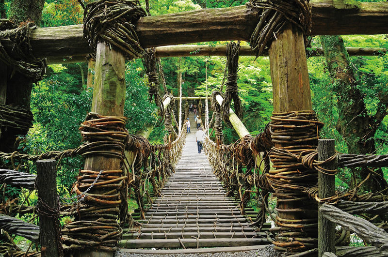 Kagawa/Kotohira Departure/Arrival: Half-Day Bus Tour of Secret Scenery: Oboke Gorge & Kazura Bridge - Oboke Gorge: a scenic pause, not a river outing