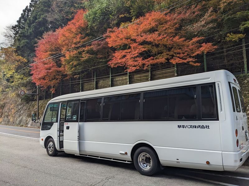 Kagawa/Kotohira Departure/Arrival: Half-Day Bus Tour of Secret Scenery: Oboke Gorge & Kazura Bridge - The price and what it covers