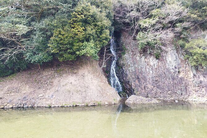 Kagawa: Ritsurin Garden Guided Walking Tour - Value and Cost Analysis