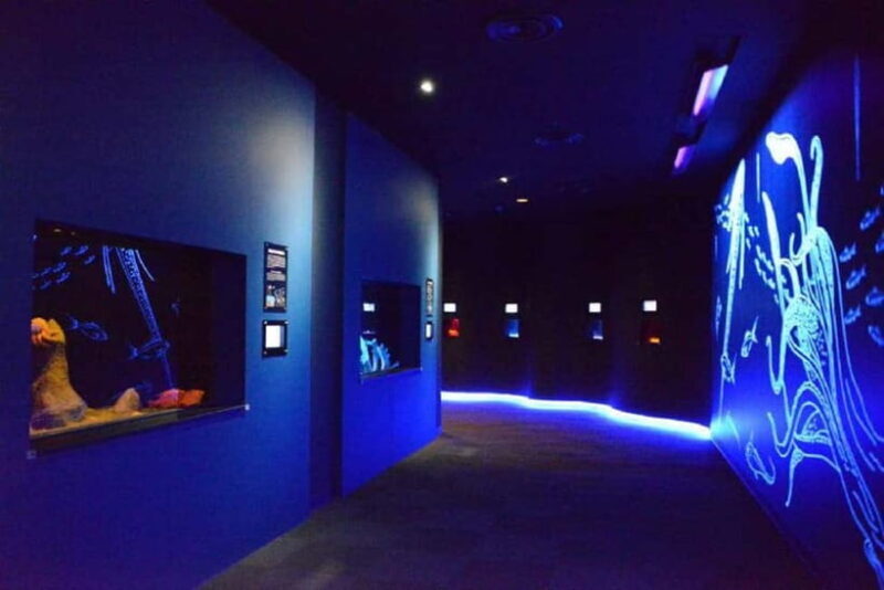 Kagoshima Aquarium Admission Ticket - Introduction to Kagoshima Aquarium