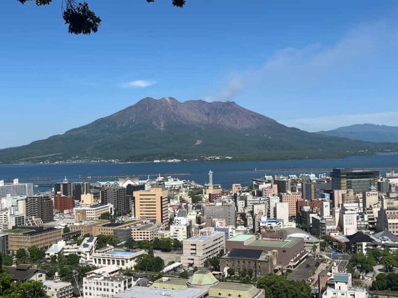 Kagoshima-city Sightseeing spot Private Tour - Why This Tour Offers Incredible Value