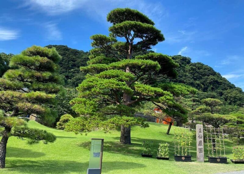 Kagoshima: Cultural Heritage & Samurai Legacy Private Tour - A Practical Look at the Kagoshima Private Tour