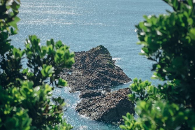 Kagoshima Custom Full Day Tour - Pickup and Logistics