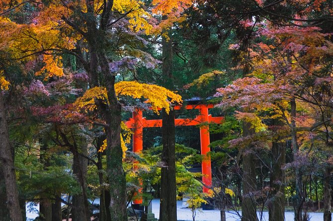 Kagoshima Custom Full Day Tour - Additional Groups
