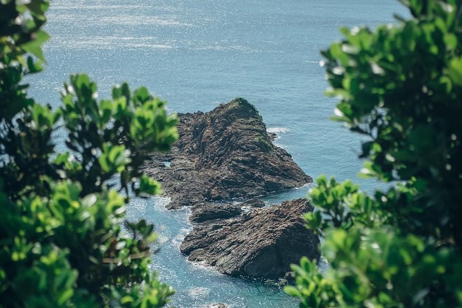 Kagoshima Custom Half Day Tour - Pickup and Meet-up Details