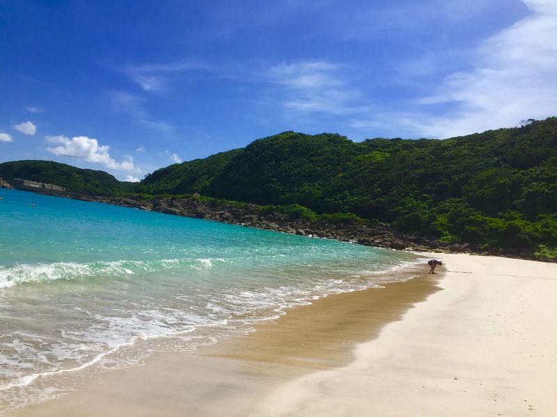 Kagoshima Day Tour: Hike World Heritage Yakushima by Express Jetfoil - A boxed lunch keeps the day moving
