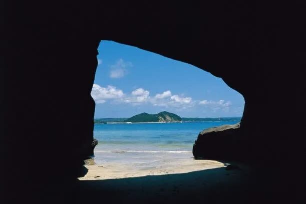 Kagoshima Day Tour: Hike World Heritage Yakushima by Express Jetfoil - What the price buys you