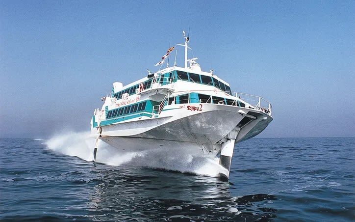 Kagoshima Day Tour: Hike World Heritage Yakushima by Express Jetfoil - Who should book this Yakushima day trip?