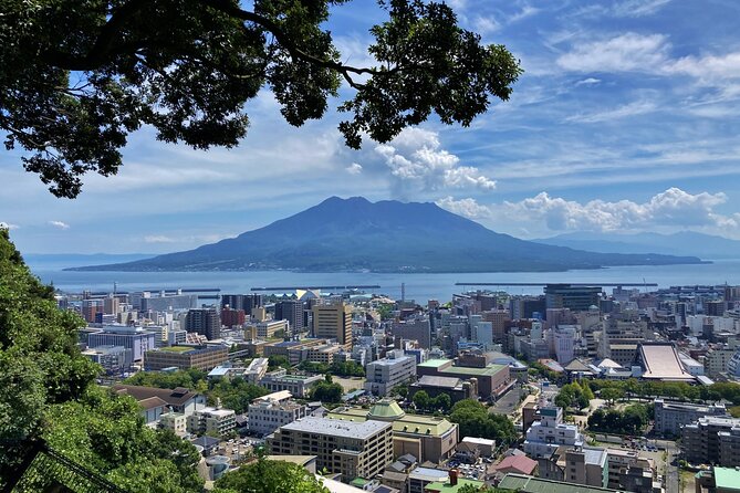 Kagoshima Half-Day Sightseeing Tour - Tour Inclusions