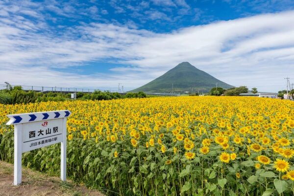 Kagoshima: Ibusuki City and Mount Kaimon Dake Tour - Cancellation Policy