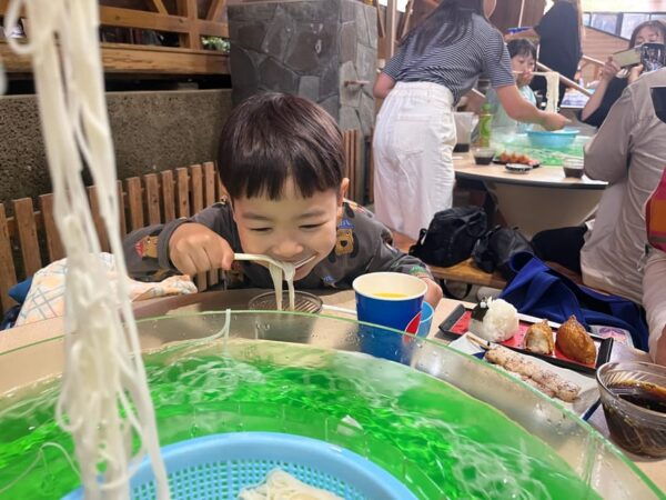 Kagoshima: Ibusuki City and Mount Kaimon Dake Tour - Tips for Travelers