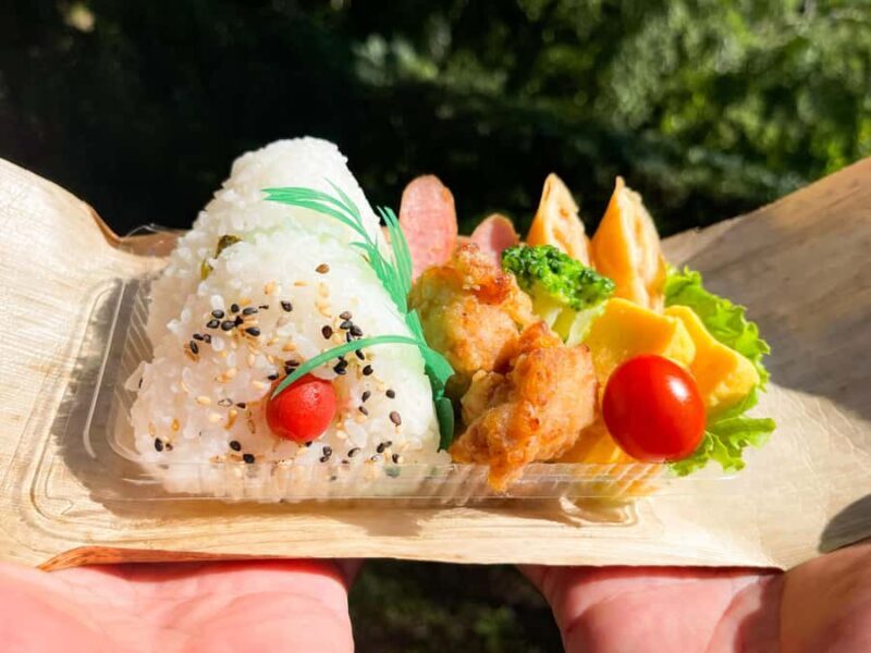 Kagoshima Kirishima National ParkVolcano Trek & Bento Lunch - The Food: A Japanese Bento atop the Mountain