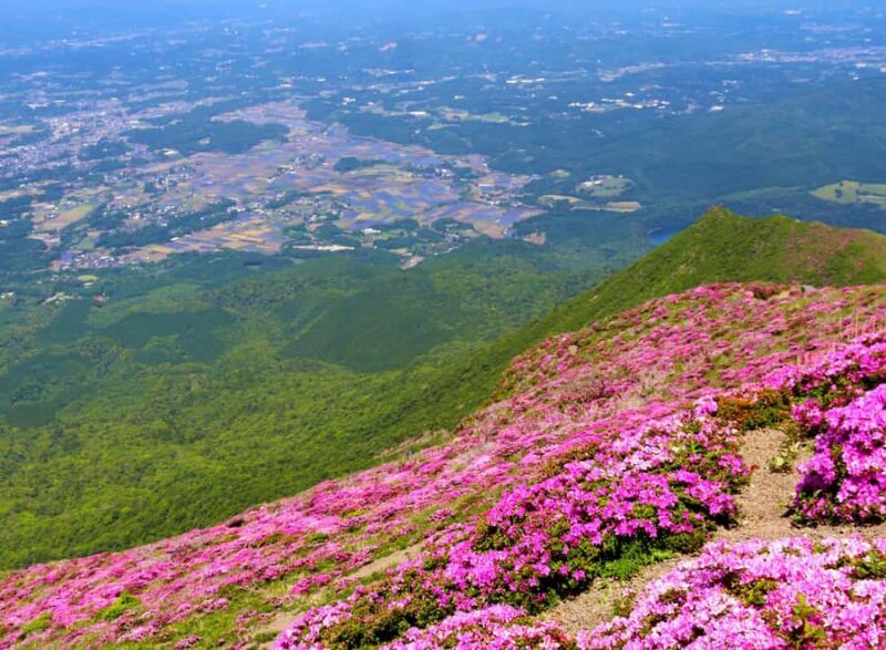 Kagoshima Kirishima National ParkVolcano Trek & Bento Lunch - An In-Depth Look at the Volcano Trek & Bento Lunch Experience