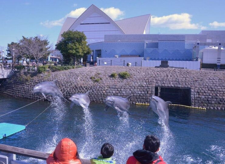 Kagoshima Private City View Bus Tour - Pricing Details